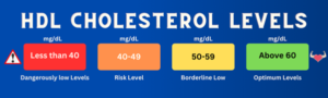 HDL cholesterol levels chart showing ranges in mg/dL, from less than 40 (dangerously low) to above 60 (optimal).