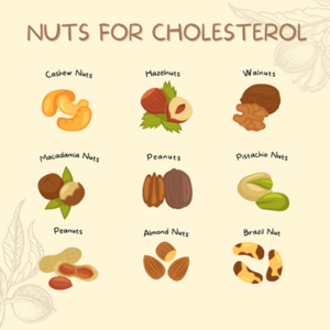 A guide to nuts for reducing cholesterol, featuring ultra-realistic images of walnuts, almonds, pistachios, hazelnuts, cashews, and macadamia nuts with their names.