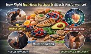 Nutrition for Sports infographic showing energy levels, muscle function, endurance, recovery, and immune support for athletic performance