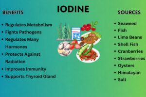 Infographic explaining iodine benefits and iodine-rich foods like seaweed, fish, shellfish, cranberries, strawberries, oysters, and Himalayan salt.